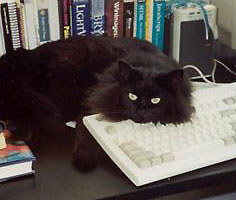 Touch the keyboard...