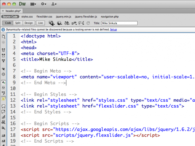 Place the viewport meta tag.